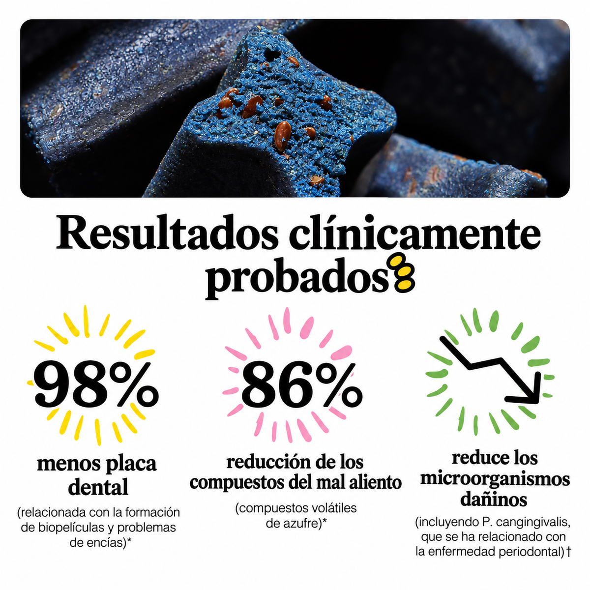 Morditos®